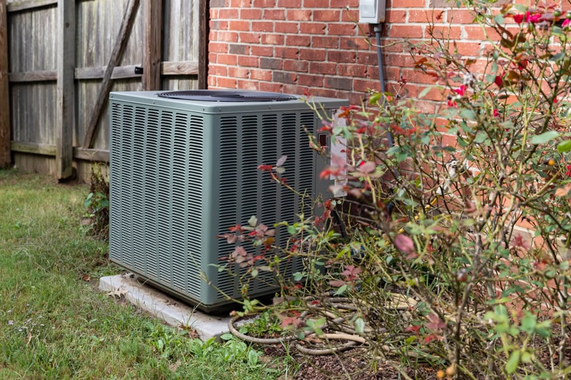 Outdoor HVAC unit next to a flower bush.