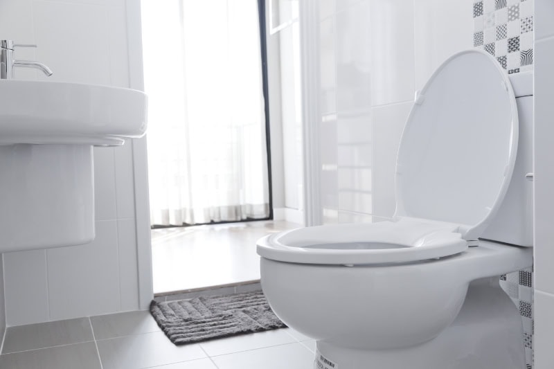 White toilet with water closet look outside.